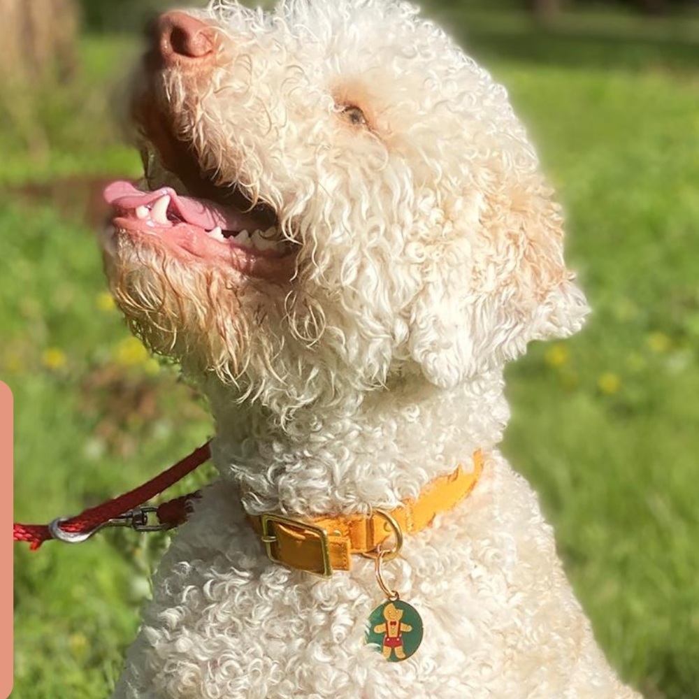 NIB ~ ERSTWILDER PET CHARMS “A BITE BEFORE CHRISTMAS” 🎄 2021